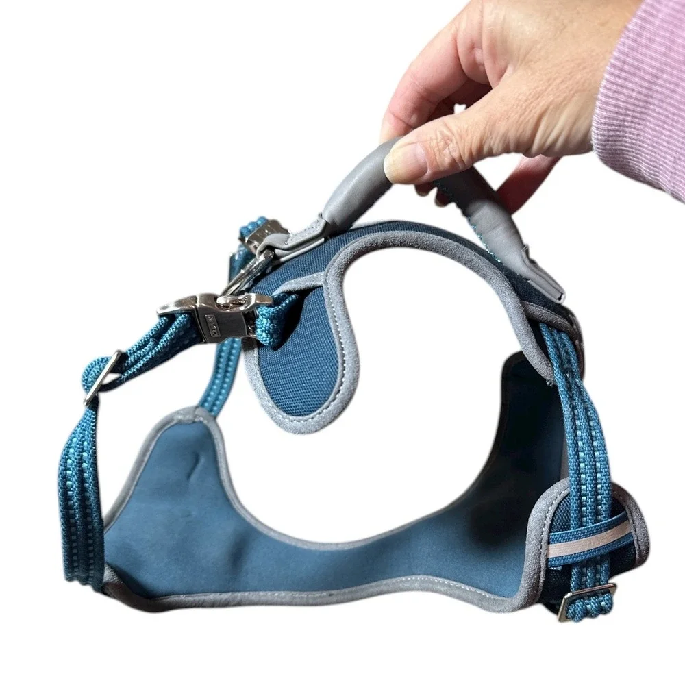 Reddy Large Dog Harness and Collar -‎ Adjustable, Durable Nylon, Metal Clips